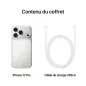 Apple iPhone 17 Pro - Apple A19 Pro Hexa-Core - 256 Go - Ecran Super Retina XDR OLED 6.3" - iOS 26 - Argent