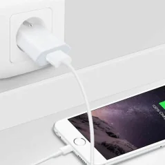 Apple Chargeur - Original Apple - Lightning A1400 + Câble MD818 - iPod, iPad & iPhone