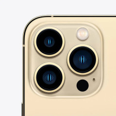 Apple iPhone 13 Pro Max - 256Go - 6,7 pouces - Poids 238g - Or - Garantie 1an
