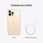Apple iPhone 13 Pro Max - 256Go - 6,7 pouces - Poids 238g - Or - Garantie 1an