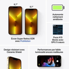 Apple iPhone 13 Pro Max - 256Go - 6,7 pouces - Poids 238g - Or - Garantie 1an