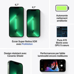 Apple iPhone 13 Pro Max - 128Go - 6,7 pouces - Poids 238g -  Vert  - Garantie 1an
