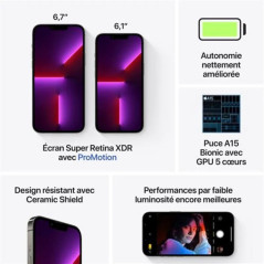 Apple iPhone 13 Pro Max - 512Go - 6,7 pouces - Poids 238g - Graphite - Garantie 1an