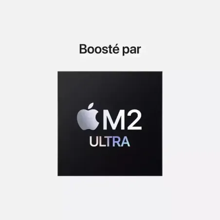 Apple Mac Pro 1 To SSD 64 Go RAM Puce M2 Ultra CPU 24 coeurs GPU 60 cœurs
