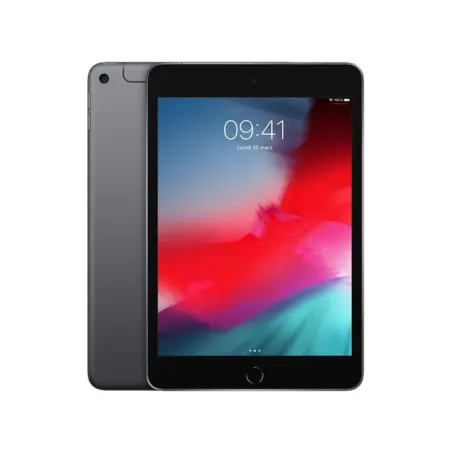 Apple iPad mini 5 -  pouces 7,9 - Wi Fi + 4G - 256Go -  A12 - Gris Sidéral - Garantie 1 an