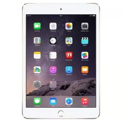 Apple iPad mini 5 -  pouces 7,9 - Wi Fi + 4G - 256Go - Puce A12 - Or - Garantie 1 an