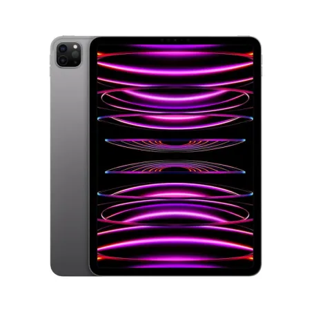 Apple iPad Pro 11 - pouces  11 - Wi Fi + Cellulaire 5G - 512Go - M2 - Gris Sidéral