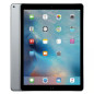 Apple iPad Pro 12,9 -  pouces 12,9 - écran Retina - Wi Fi + 4G - 128 Go - A9X - Gris