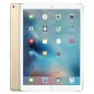 Apple iPad Pro 12,9 - pouces 12,9  - écran Retina - Wi Fi + 4G - 128 Go - Puce A9X - Or