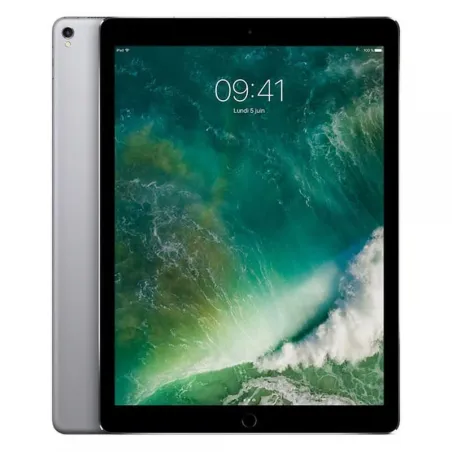 Apple iPad Pro 12,9  - pouces  12,9  - Wi Fi + Cellulaire 4G - 256 Go - Gris sidéral