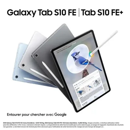 Samsung Galaxy Tab S10 FE 5G - stockage 256 Go - Ram 12GB - Écran 10.9" - Gris