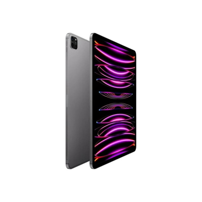 Apple iPad Pro 12,9  -  pouces 12,9 - fin, léger - Wi Fi + 5G - 256 Go - Puce M2 - Argent
