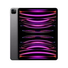 Apple iPad Pro 12,9  -  pouces 12,9 - fin, léger - Wi Fi + 5G - 256 Go - Puce M2 - Argent