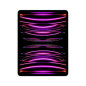Apple iPad Pro 12,9  -  pouces 12,9 - fin, léger - Wi Fi + 5G - 256 Go - Puce M2 - Argent